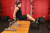 Bench Dips