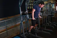 Dips - Chest Version
